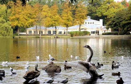 Villa Rosali Boutique Hotel ハンブルク エクステリア 写真